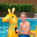 Ver imagem 5 de Boia Lhama