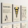 Kit 3 Quadro Decorativo Fisioterapia Consultório Clínica Mdf 28x20cm - 1