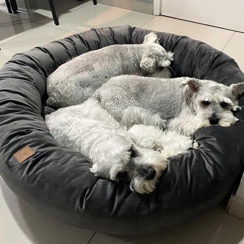 Cama para Pets Cães e Gatos Nuvem Veludo G 70x70:Cinza Escuro Veludo