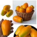 Ver imagem 5 de 3 Mamões Artificiais Realistas Fruta Fake Decoração Gourmet, Cenário, Vitrine, Restaurantes e Buffet