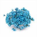 Ver imagem 2 de 200 Flores Sempre Viva Flor Secas e Desidratadas - Cor Azul Claro | Decoração, Arranjo e Buquê