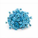 Ver imagem 4 de 200 Flores Sempre Viva Flor Secas e Desidratadas - Cor Azul Claro | Decoração, Arranjo e Buquê