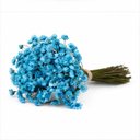 Ver imagem 3 de 200 Flores Sempre Viva Flor Secas e Desidratadas - Cor Azul Claro | Decoração, Arranjo e Buquê