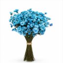 Ver imagem 1 de 200 Flores Sempre Viva Flor Secas e Desidratadas - Cor Azul Claro | Decoração, Arranjo e Buquê