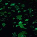 Ver imagem 5 de Jogo de Tabuleiro Observação Dobble Collector Galápagos