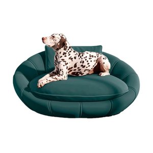 Cama Caminha Sofá Poltrona Pet Gato Cachorro Zafira Color:azul Esverdeado