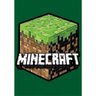 Papel de Parede Minecraft 200x300cm - 1