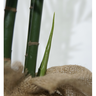 Planta Artificial Bamboo Grande 1.8mt Arvore Decorativa - 4