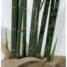 Planta Artificial Bamboo Grande 1.8mt Arvore Decorativa - 3