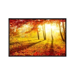 Quadro Decorativo - Outono Arvores e Folhas no Parque Flnt019 - Tela Canvas - 60x40cm