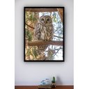 Ver imagem 1 de Quadro Decorativo Foto Coruja Árvore - 70x50cm:moldura Preta