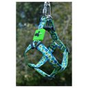 Ver imagem 4 de Coleira Cachorros com Guia Monstrinhos G Style