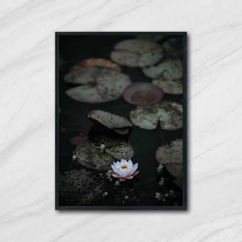 Quadro Flor de Lotus 24x18cm - com vidro:Madeira branca