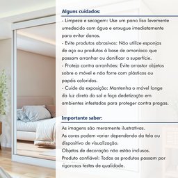 Guarda-roupa Casal 2 Portas 2 Gavetas Zeine com Espelho - 15