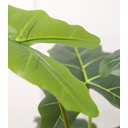 Ver imagem 3 de Planta Alocasia Artificial para Decoração de Casa Realista Verde