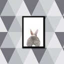 Ver imagem 1 de Quadro Traseira Coelhinho 33x24cm - com vidro:Madeira branca