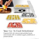 Ver imagem 6 de Elite Gourmet Desidratador de Alimentos com 5 Bandejas em Aço Inox (inox)