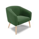 Ver imagem 7 de Kit 01 Namoradeira 02Lug E 01 Poltrona Stella Verde Natural