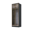 Ver imagem 3 de Guarda-roupa 2 Portas Reflecta 2 Gavetas Internas Ravi