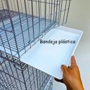 Ver imagem 3 de Canil Gaiola Caes Gatos Vertical 3 Lugares Cachorro Pet Shop Banho e Tosa Modular