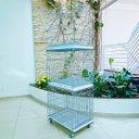 Ver imagem 7 de Canil Gaiola Caes Gatos Vertical 3 Lugares Cachorro Pet Shop Banho e Tosa Modular