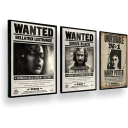 Kit Quadros Decorativo Harry Potter, Sirius Black, Bellatrix Lestrange - 1