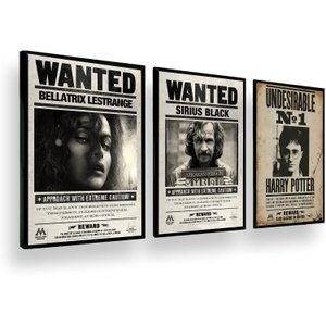 Kit Quadros Decorativo Harry Potter, Sirius Black, Bellatrix Lestrange