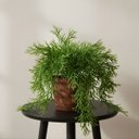 Ver mais imagens de 5 Unidades Chifre de Veado Artificial Planta Pendente Jardim Vertical Paisagismo Luxo