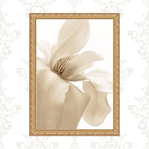 Quadro Moldura Dourada Flor Bege 33x24cm:com Acetato
