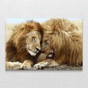 Ver imagem 1 de Quadro Decorativo Leão Carinhoso sem Moldura e Sem Vidro 100x160