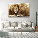 Ver imagem 3 de Quadro Decorativo Leão Carinhoso sem Moldura e Sem Vidro 100x160