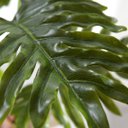Ver imagem 4 de Planta Imbé Artificial Permanente 90cm com Tronco e 7 Folhas Verdes Decorativas
