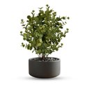 Ver imagem 7 de Kit 2 Buquês de Eucalipto Artificial 40cm com 6 Hastes – Folhagem Decorativa Realista