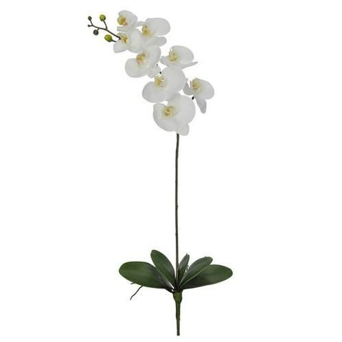 Haste Orquidea P Real Toque c/Folha 8 Flores Branco 90cm