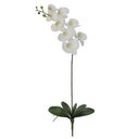 Ver imagem 1 de Haste Orquidea P Real Toque c/Folha 8 Flores Branco 90cm