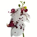 Ver imagem 1 de Orquidea Artificial Média:pintada