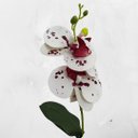 Ver imagem 2 de Orquidea Artificial Média:pintada