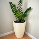 Ver imagem 2 de Vaso de Fibra de Vidro Roma P 50cm Decorativo Areia