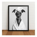 Ver imagem 1 de Quadro Decorativo Galgo Italiano Spa Roupão com Vidro Preto