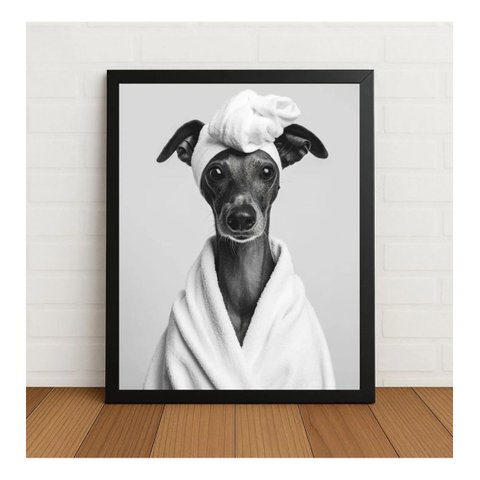 Quadro Decorativo Galgo Italiano Spa Roupão com Vidro Preto