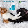 Bris Equilíbrio Ourofino Spray Pele Oleosa 200ml para Cães e Gatos - 2