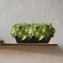 Ver imagem 6 de Conjunto de 9 Plantas Artificiais Verdes Realistas Buquês para Arranjos, Vasos e Centro de Mesa