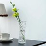 Vaso de Vidro Decorativo Bubble Luxo 18cm - Lyor - 5
