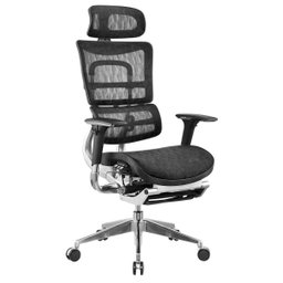 Cadeira Ergonômica Presidente Tecido Mash Estrutura Alumínio com Suporte de Pernas - Ergohaus - 4