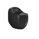 Ver imagem 3 de Vaso Sanitario Adamas Monobloco Adm-200b