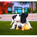 Ver imagem 4 de Grama Sintética Euro Garden 22mm (2x0,50m) 1m²