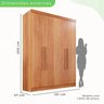 Guarda-roupa Casal 4 Portas 2 Gavetas França - 5