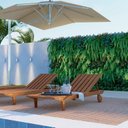 Ver imagem 7 de Conjunto 2 Espreguiçadeiras e 1 Mesinha de Centro para Jardim em Madeira Maciça