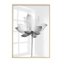 Ver imagem 1 de Quadro Decorativo Flor Cinza Planta Jardim Preto e Branco Com Vidro