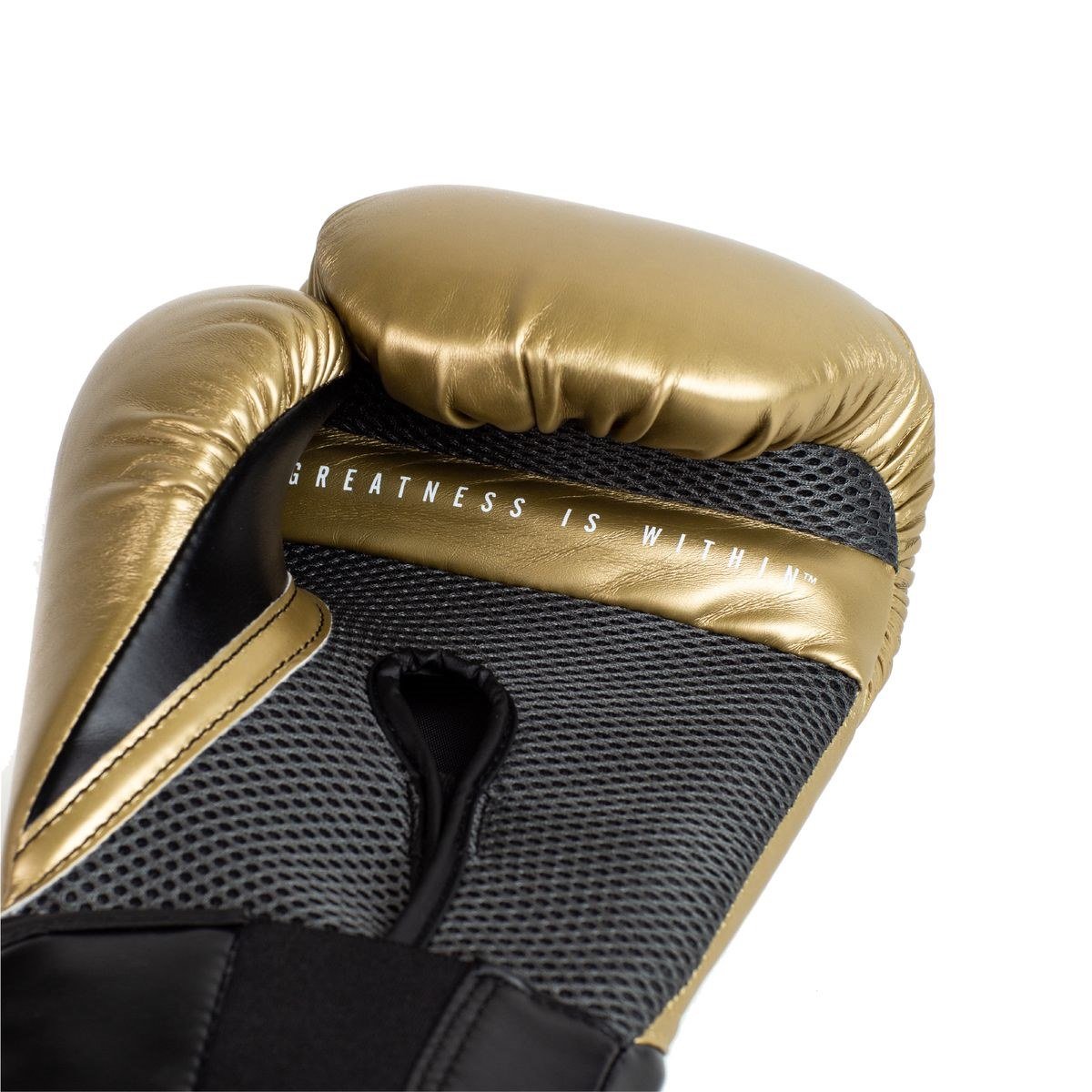 Luva de Boxe e Muay Thai Everlast Pro Style Elite V2 Dourado - 5